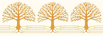 Ancestry Network Logo